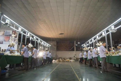 光影新境，幸福為燈 艾摩燈3.0極簡(jiǎn)輕奢展廳與大師設(shè)計(jì)的共鳴